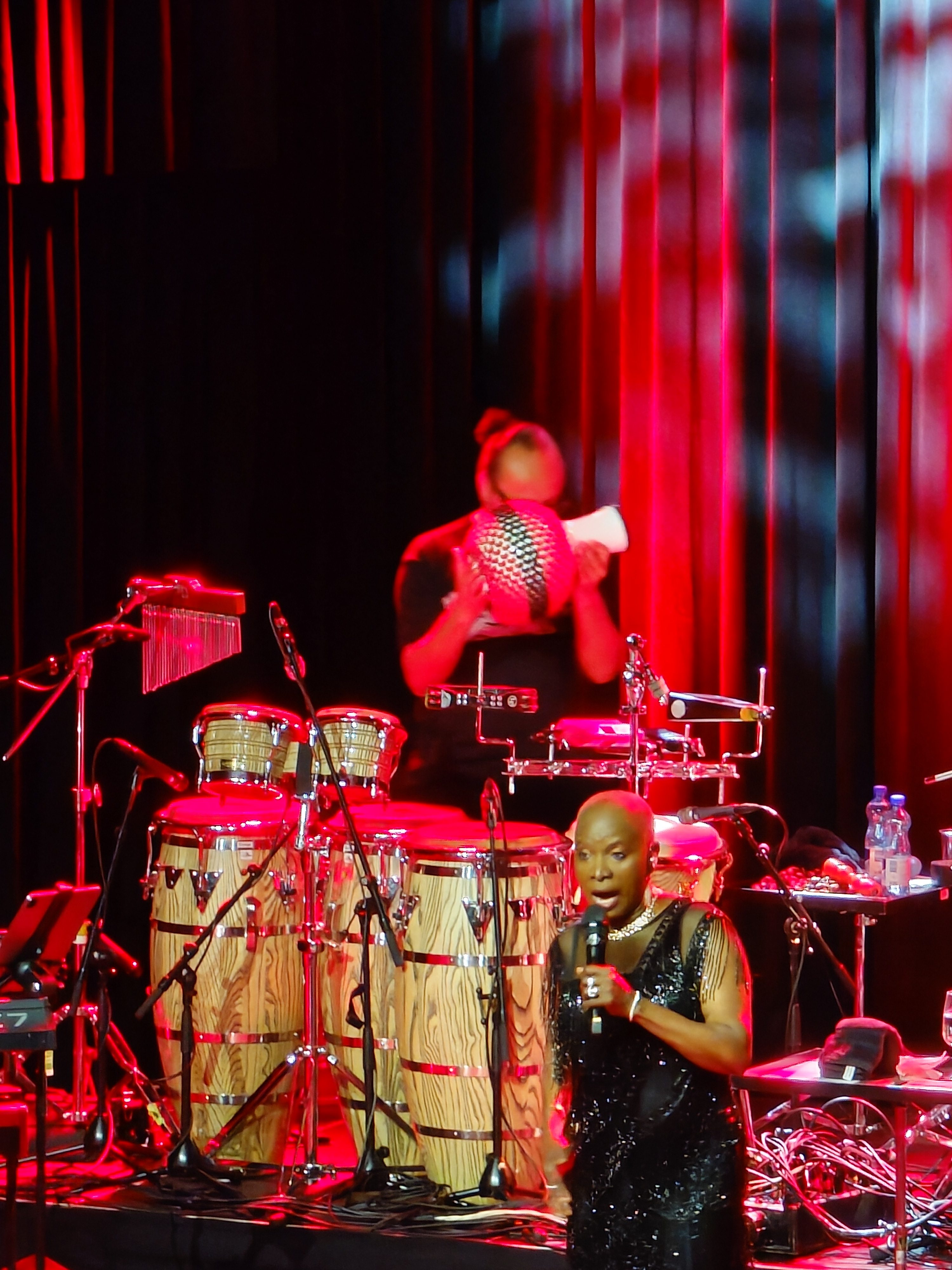 Angélique Kidjo at the Bierhübeli